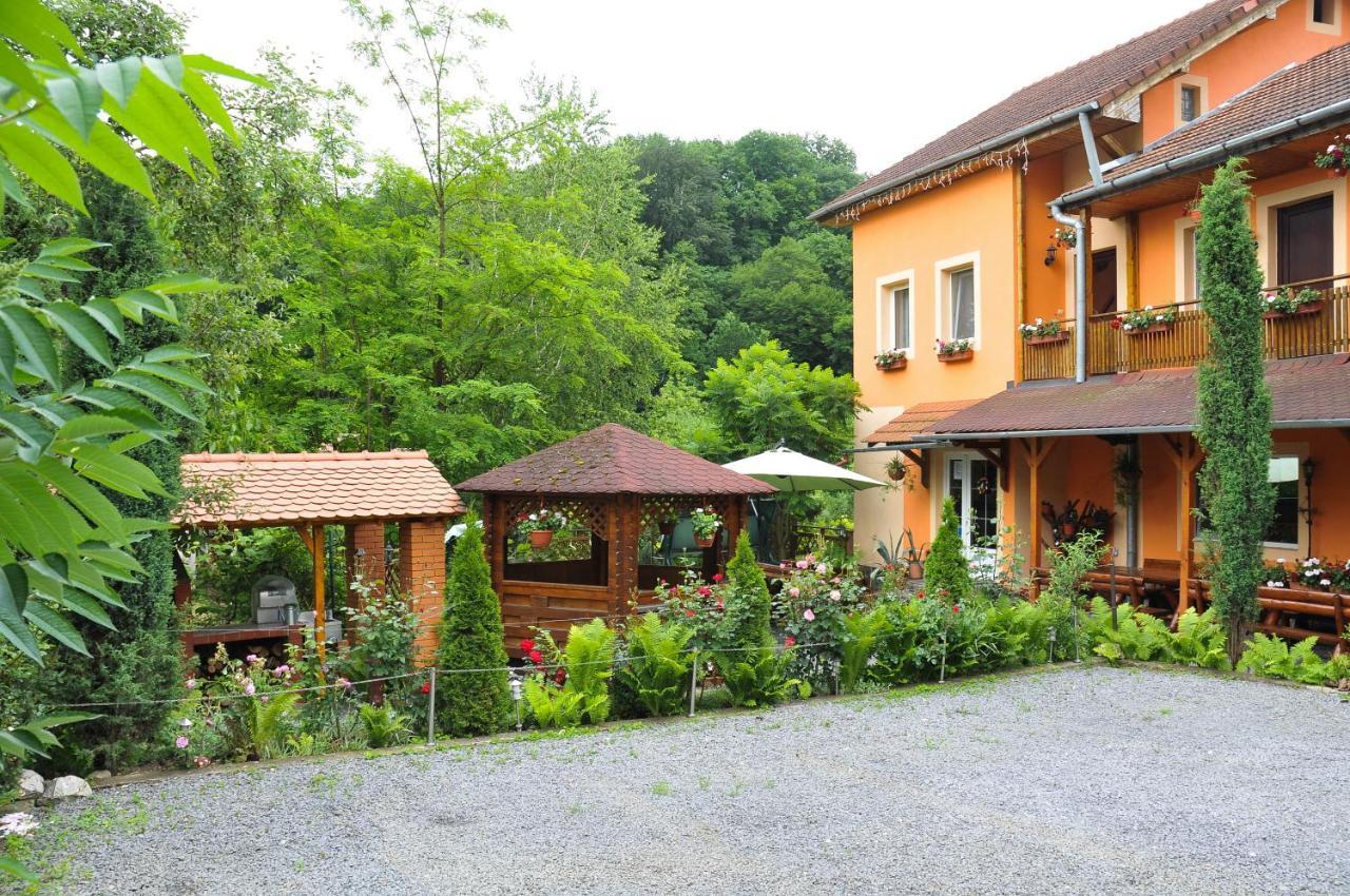 Pensiunea Ana Cristina Sighisoara Exterior photo