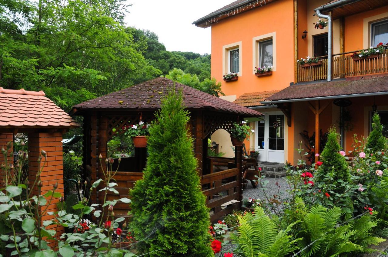 Pensiunea Ana Cristina Sighisoara Exterior photo