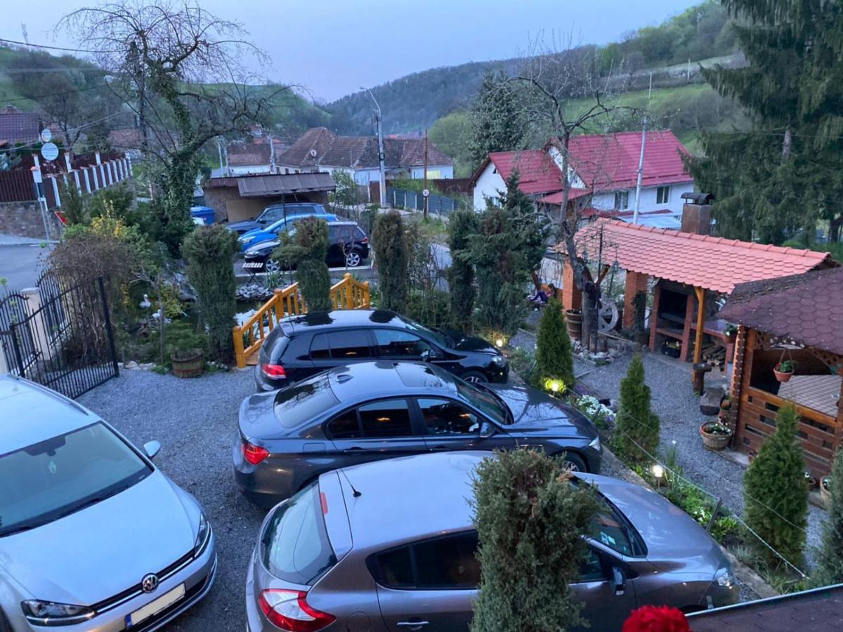 Pensiunea Ana Cristina Sighisoara Exterior photo