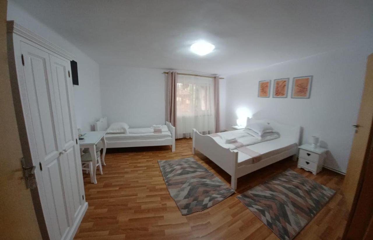 Pensiunea Ana Cristina Sighisoara Exterior photo