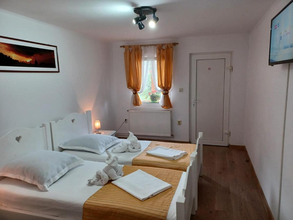 Pensiunea Ana Cristina Sighisoara Exterior photo